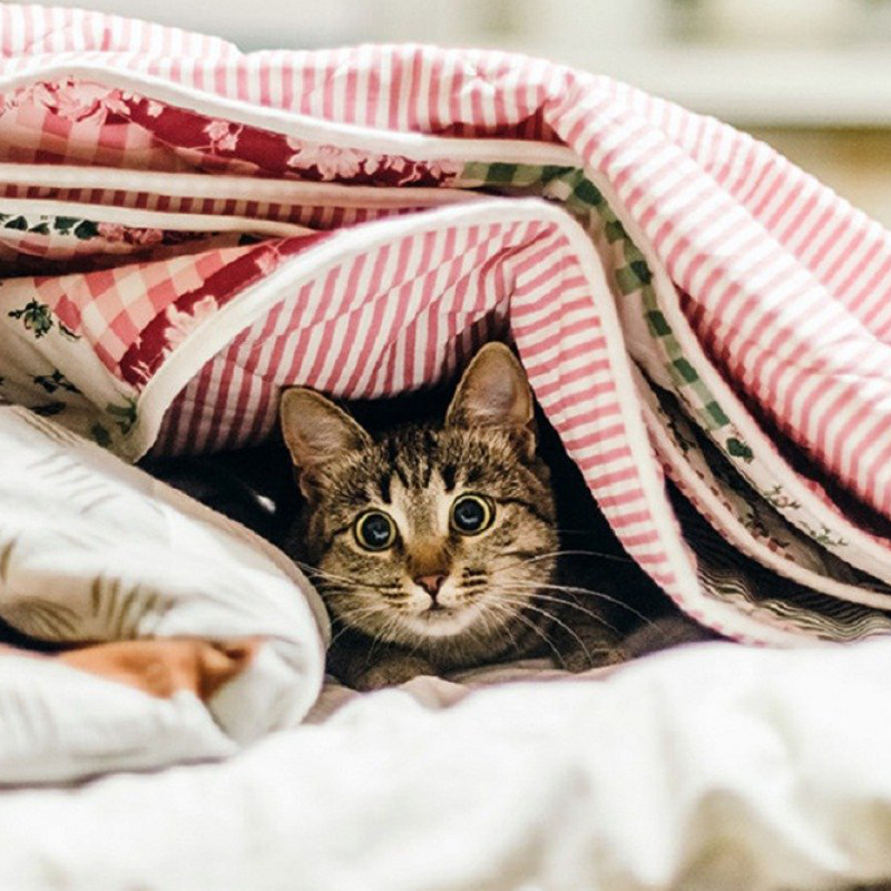 Без центрального отопления