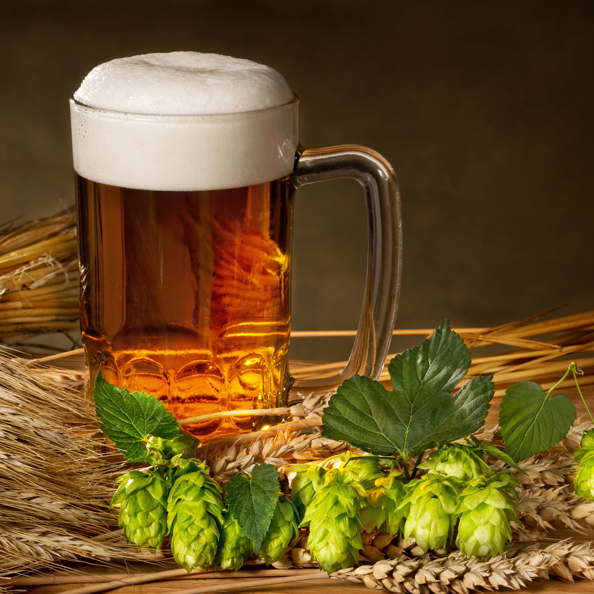 Хмель и солод